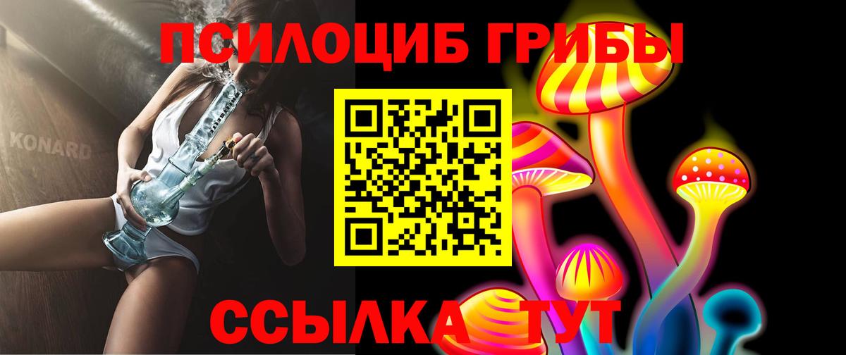 Галлюциногенные грибы GOLDEN TEACHER Ленинск-Кузнецкий
